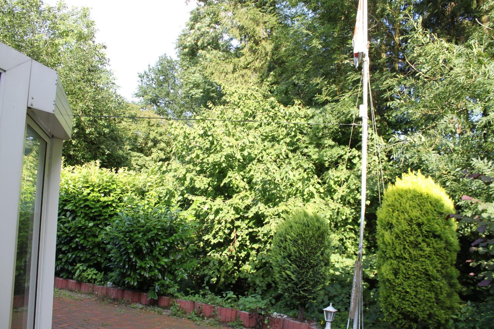 Fewo Harling - Waldsamkeit Bad Iburg Exterior foto